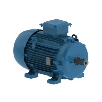Асинхронный электродвигатель WEG 12310457 W20 100L 3 кВт 2P B3T 220-460 В 50 Гц