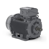 Асинхронный электродвигатель WEG 17376515 WGOST-L112M 7.5 кВт 2P B3T 220/380 В 50 Гц