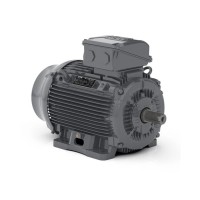 Асинхронный электродвигатель WEG 17725617 WGOST-132S 7.5 кВт 4 Пол B3T 220/380 В 50 Гц Асинхронный электродвигатель WEG 17725617 WGOST-132S 7.5 кВт 4 Пол B3T 220/380 В 50 Гц