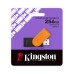 USB-накопитель Kingston DTXS/256GB 256GB