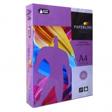 Қағаз "PAPERLINE" № 44А, А4, 160 гр/м таңқурай