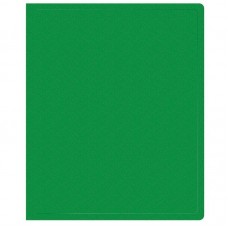Папка на 2-х кольцах BURO, пластиковая, 500 мкм, зеленая  028-1496407