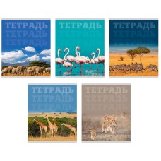 Тетрадь 80л, А5, клетка, скрепка, "В мире животных", Эксмо  ТК808698-8