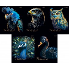 Тетрадь "Hatber", 48л, А5, клетка, на скобе, 3D фольга, ламин., "Благородные птицы" 085232-48Т5лофВ1