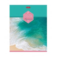 Тетрадь "Hatber", 60л, А5, клетка,  на скобе, "Color"  087192-60Т5В1