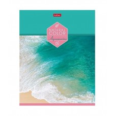 Тетрадь "Hatber", 60л, А5, клетка,  на скобе, "Color"  087192-60Т5В1