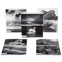 Тетрадь "Hatber", 60л, А5, клетка,  на скобе, "Вдохновение"  086849-60Т5В1