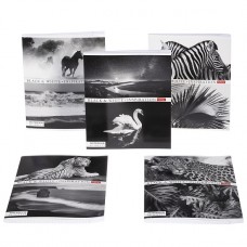 Тетрадь "Hatber", 60л, А5, клетка,  на скобе, "Вдохновение"  086849-60Т5В1