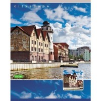 Тетрадь 96л скрепка А5 клетка "Trawel" 96T5C1_18379 Тетрадь 96л скрепка А5 клетка "Trawel" 96T5C1_18379