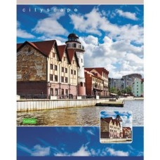 Тетрадь 96л скрепка А5 клетка "Trawel" 96T5C1_18379