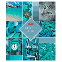 Тетрадь "Hatber", 48л, А5, клетка, на скобе, серия "Colorful Life" 48Т5В6_16188